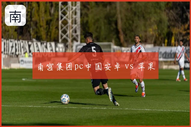 南宫集团pc中国安卓 vs 苹果